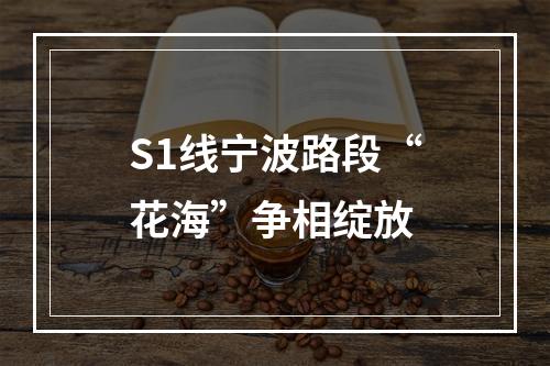 S1线宁波路段“花海”争相绽放