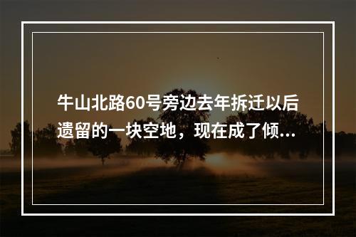 牛山北路60号旁边去年拆迁以后遗留的一块空地，现在成了倾到拉圾和随地大小便的场所