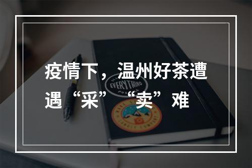 疫情下，温州好茶遭遇“采”“卖”难