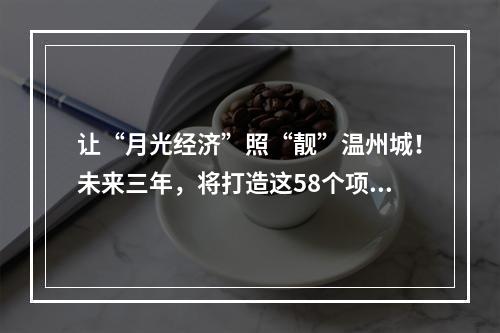 让“月光经济”照“靓”温州城！未来三年，将打造这58个项目！