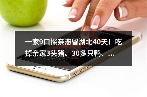 一家9口探亲滞留湖北40天！吃掉亲家3头猪、30多只鸭、几百斤米