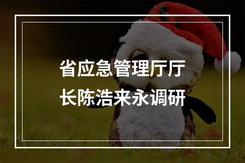 省应急管理厅厅长陈浩来永调研