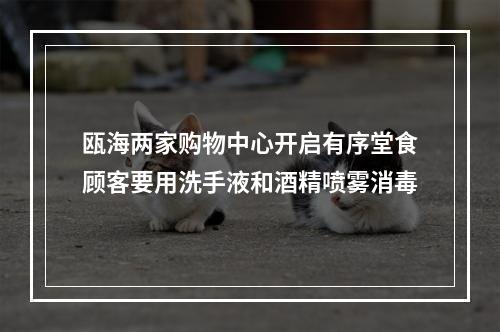 瓯海两家购物中心开启有序堂食顾客要用洗手液和酒精喷雾消毒