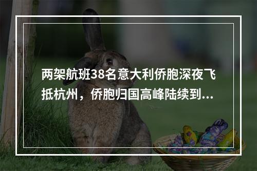 两架航班38名意大利侨胞深夜飞抵杭州，侨胞归国高峰陆续到来，浙江严守输入性第一关