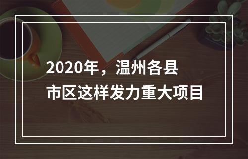 2020年，温州各县市区这样发力重大项目
