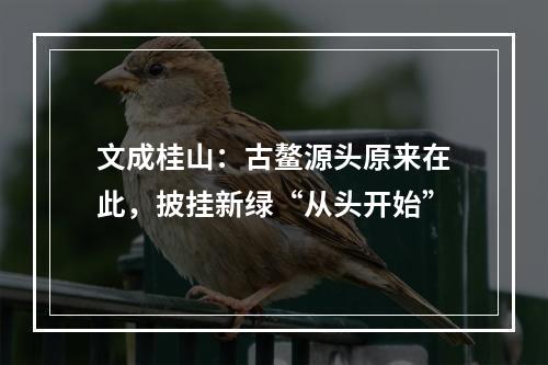 文成桂山：古鳌源头原来在此，披挂新绿“从头开始”