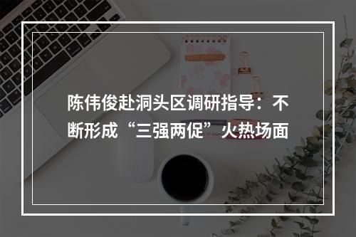 陈伟俊赴洞头区调研指导：不断形成“三强两促”火热场面
