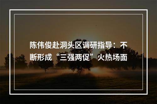 陈伟俊赴洞头区调研指导：不断形成“三强两促”火热场面