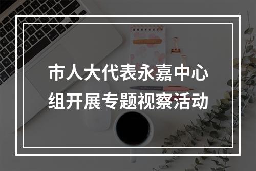 市人大代表永嘉中心组开展专题视察活动
