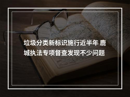 垃圾分类新标识施行近半年 鹿城执法专项督查发现不少问题