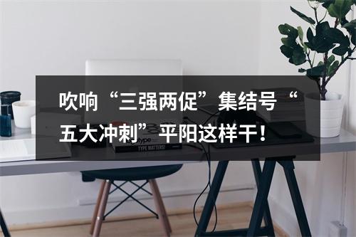 吹响“三强两促”集结号“五大冲刺”平阳这样干！