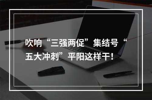 吹响“三强两促”集结号“五大冲刺”平阳这样干！