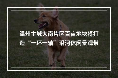 温州主城大南片区百亩地块将打造“一环一轴”沿河休闲景观带