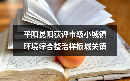 平阳昆阳获评市级小城镇环境综合整治样板城关镇