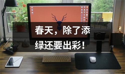 春天，除了添绿还要出彩！