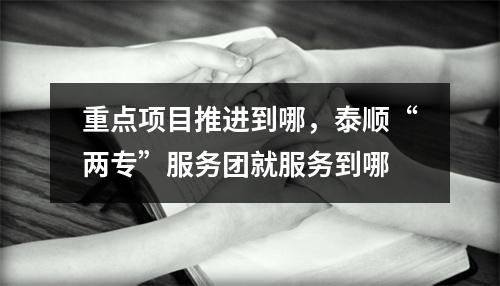 重点项目推进到哪，泰顺“两专”服务团就服务到哪