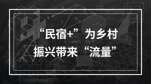 “民宿+”为乡村振兴带来“流量”
