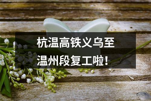 杭温高铁义乌至温州段复工啦！