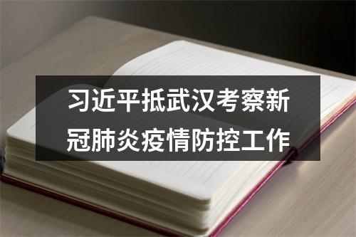 习近平抵武汉考察新冠肺炎疫情防控工作