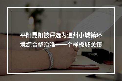 平阳昆阳被评选为温州小城镇环境综合整治唯一一个样板城关镇