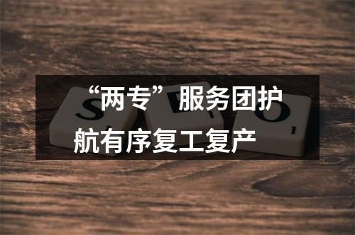 “两专”服务团护航有序复工复产