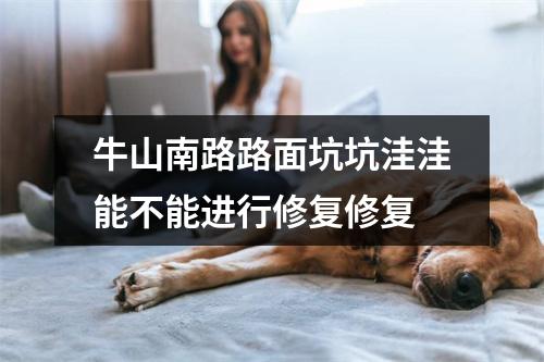 牛山南路路面坑坑洼洼能不能进行修复修复