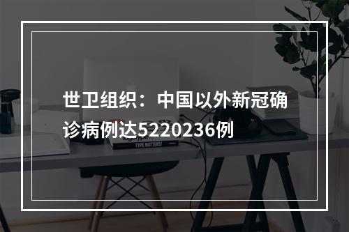 世卫组织：中国以外新冠确诊病例达5220236例