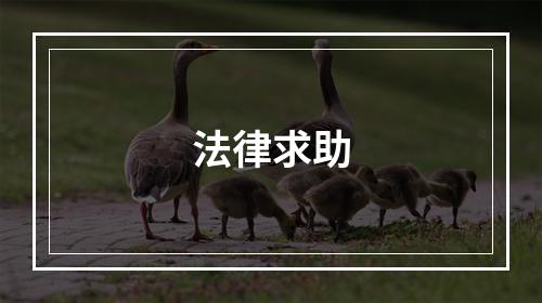 法律求助