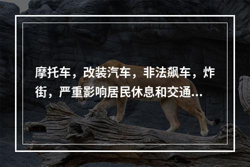 摩托车，改装汽车，非法飙车，炸街，严重影响居民休息和交通安全