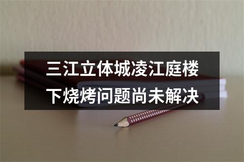 三江立体城凌江庭楼下烧烤问题尚未解决