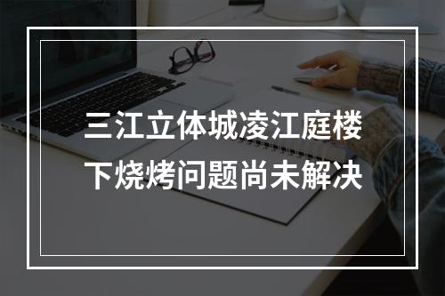 三江立体城凌江庭楼下烧烤问题尚未解决