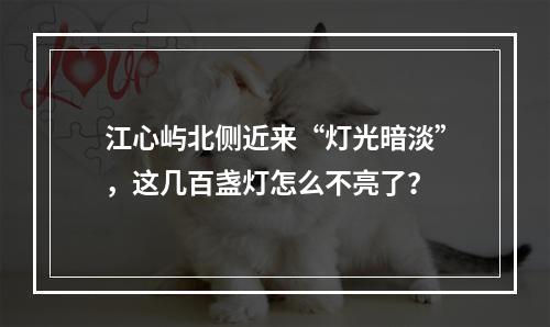 江心屿北侧近来“灯光暗淡”，这几百盏灯怎么不亮了？