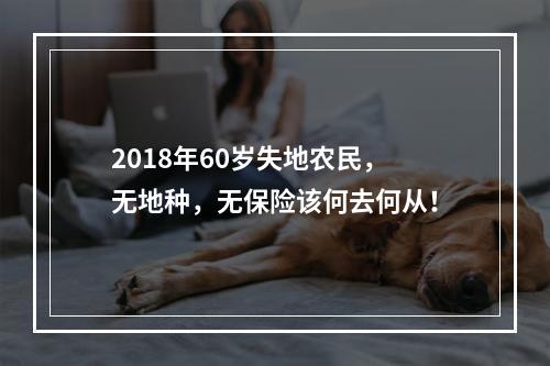 2018年60岁失地农民，无地种，无保险该何去何从！