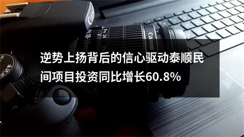 逆势上扬背后的信心驱动泰顺民间项目投资同比增长60.8%