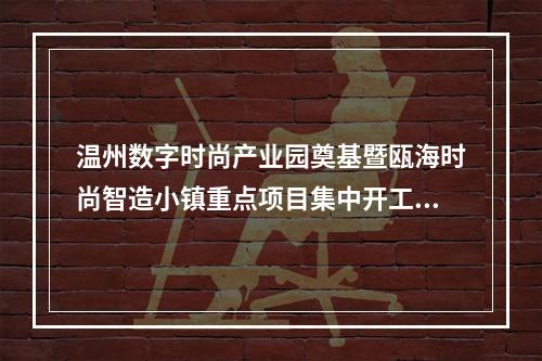 温州数字时尚产业园奠基暨瓯海时尚智造小镇重点项目集中开工仪式举行
