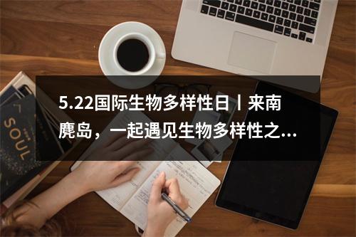 5.22国际生物多样性日丨来南麂岛，一起遇见生物多样性之美