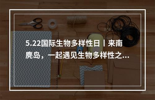 5.22国际生物多样性日丨来南麂岛，一起遇见生物多样性之美