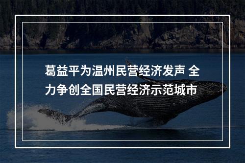 葛益平为温州民营经济发声 全力争创全国民营经济示范城市