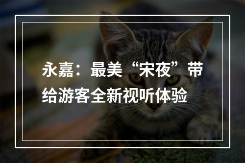 永嘉：最美“宋夜”带给游客全新视听体验