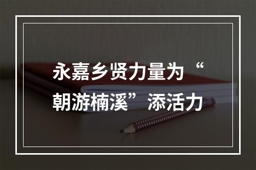永嘉乡贤力量为“朝游楠溪”添活力