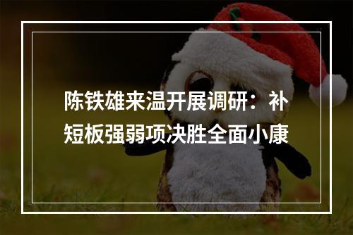 陈铁雄来温开展调研：补短板强弱项决胜全面小康