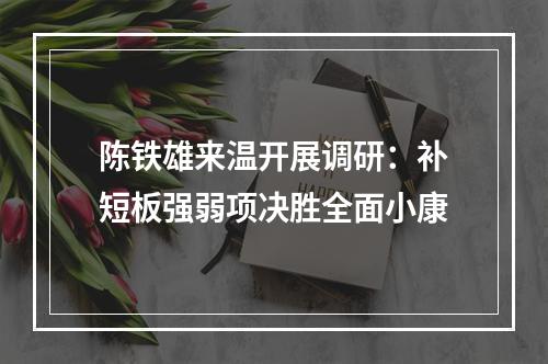 陈铁雄来温开展调研：补短板强弱项决胜全面小康