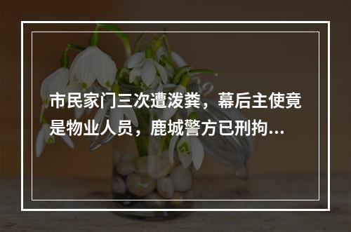 市民家门三次遭泼粪，幕后主使竟是物业人员，鹿城警方已刑拘三人
