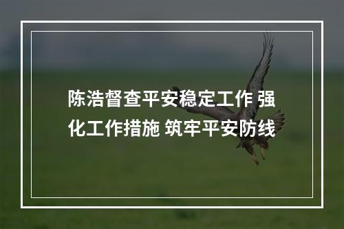 陈浩督查平安稳定工作 强化工作措施 筑牢平安防线