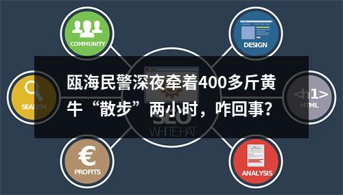 瓯海民警深夜牵着400多斤黄牛“散步”两小时，咋回事？