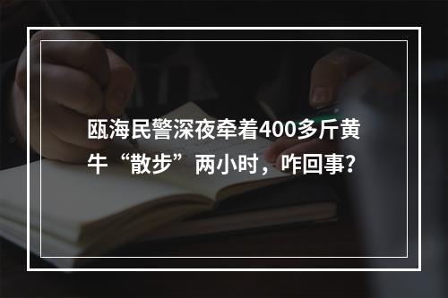 瓯海民警深夜牵着400多斤黄牛“散步”两小时，咋回事？