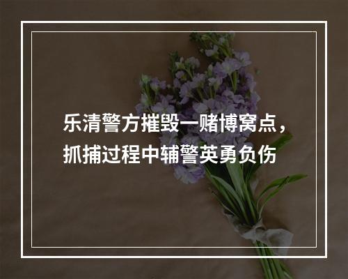 乐清警方摧毁一赌博窝点，抓捕过程中辅警英勇负伤