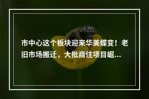 市中心这个板块迎来华美蝶变！老旧市场搬迁，大批商住项目崛起……