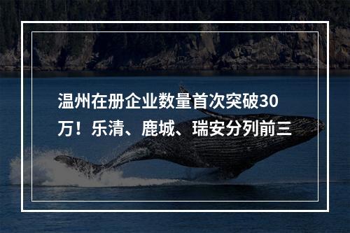 温州在册企业数量首次突破30万！乐清、鹿城、瑞安分列前三