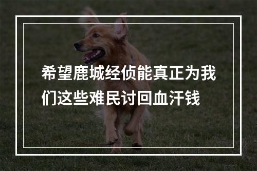 希望鹿城经侦能真正为我们这些难民讨回血汗钱
